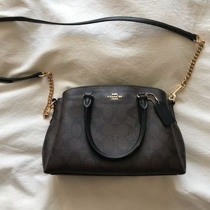 Sage Caryall In Signature Canvas Coach Bag (mini)